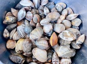 蚬子吐完沙子用清水清洗干净备用