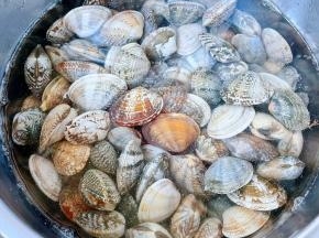 在市场买到鲜活的蚬子 回来倒入清水添加适量盐 让蚬子尽情的吐露沙子