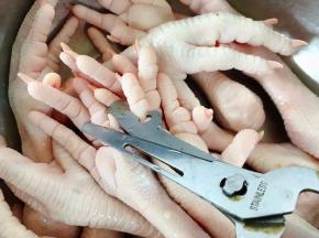 在市场买到新鲜的凤爪回来先用剪刀剪去指甲在清水中浸泡一会儿后冲洗干净