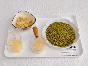 准备食材，绿豆提前放入冰箱冷冻室冻3小时以上。