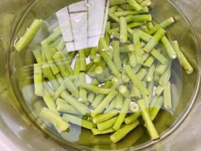 捞出过一下凉开水