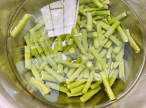 捞出过一下凉开水