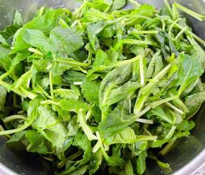 新鲜的小白菜苗摘好洗净。