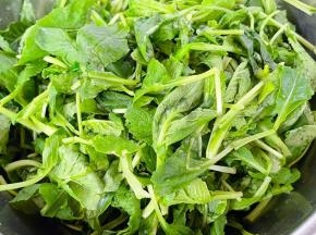 新鲜的小白菜苗摘好洗净。