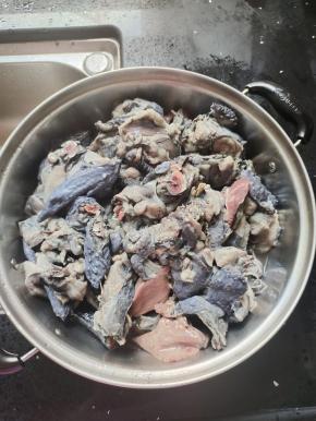 乌鸡在清水中反复清洗几遍。再捞出控干水分备用！