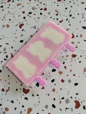 盖上盖子，放入冰箱冷冻一晚上！