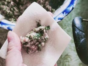 取一张饺子皮，放入一勺肉馅儿！