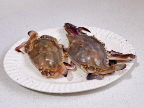 梭子蟹清洗干净。