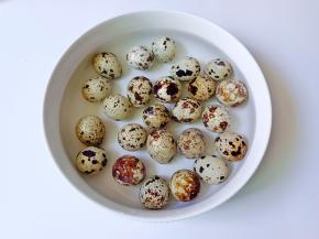 把鹌鹑蛋放清水里面，加一勺盐，把每个鹌鹑蛋的外壳都清洗干净。