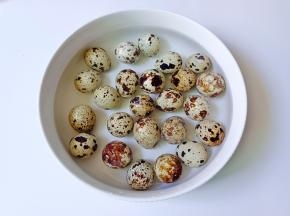 把鹌鹑蛋放清水里面，加一勺盐，把每个鹌鹑蛋的外壳都清洗干净。