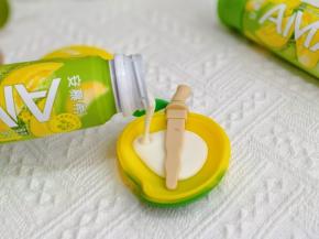 芒果模具倒入酸奶。