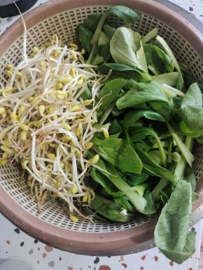 把喜欢吃的配菜清洗干净，处理好！（我用的黄豆芽和小青菜，你也可以换成自己喜欢的配菜，比如金针菇，黄瓜，莴笋……）