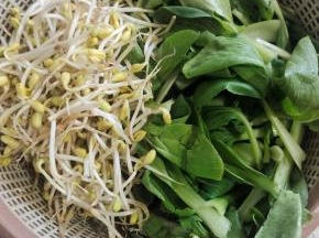 把喜欢吃的配菜清洗干净，处理好！（我用的黄豆芽和小青菜，你也可以换成自己喜欢的配菜，比如金针菇，黄瓜，莴笋……）