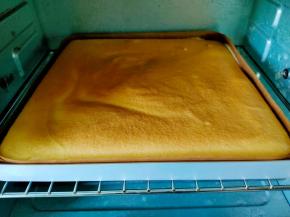 放入预热好的烤箱，上下火150度，中层，烤25分钟