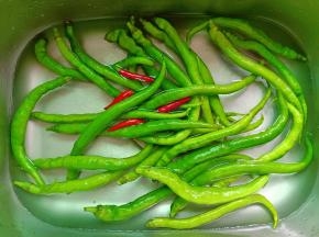 线椒带把清洗干净，控干水分备用。