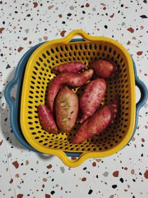 选择个头小一点的红薯清洗干净，沥干水分备用！