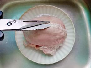 用剪刀把猪肚里面多余的油脂剪掉。