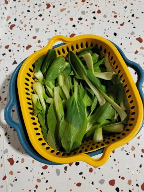 小青菜清洗干净，控干水分备用！