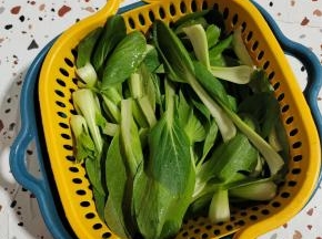小青菜清洗干净，控干水分备用！