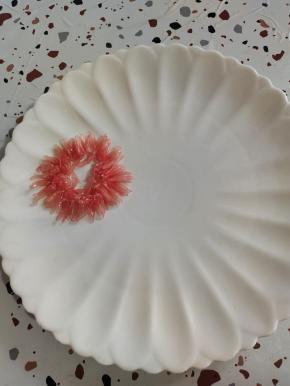 找一个白色的平盘，把柚子先摆成一个圆圈！