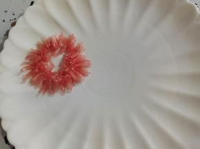 找一个白色的平盘，把柚子先摆成一个圆圈！
