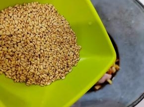 加入白芝麻拌均匀腌制10分钟即可