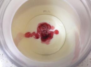 加入无糖酸奶和夏黑葡萄风味零卡糖浆。