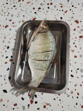 鱼处理干净，两面划几刀，方便入味儿！