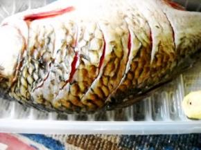 鲫鱼收拾干净，背上切斜刀；青、红椒、洋葱均切丝，姜切片