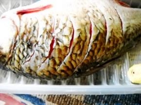 鲫鱼收拾干净，背上切斜刀；青、红椒、洋葱均切丝，姜切片