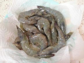盘子里铺上厨房用纸，将虾冲洗干净放在盘子里，吸干表面的水分。