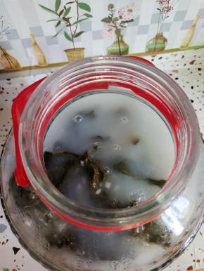 萝卜缨在开水里稍微烫一下，装在玻璃瓶里，米汤晾至温热，倒进去，密封发酵一周就可以得到酸菜了！