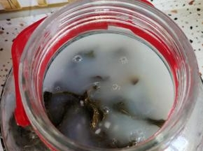 萝卜缨在开水里稍微烫一下，装在玻璃瓶里，米汤晾至温热，倒进去，密封发酵一周就可以得到酸菜了！