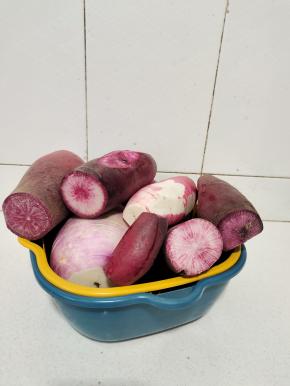 红皮萝卜清洗干净，晾干水分备用！