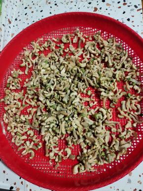 晒至七八成干就可以了！