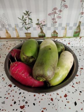 萝卜清洗干净，去掉头尾！