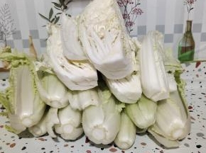 白菜扒掉外面的烂叶子！去掉根部，太大的白菜可以切成四瓣备用！(白菜扒掉外面的叶子后，里面本身很干净，不需要清洗，直接拿来做酸菜，吃的时候再好好清洗就可以了！)