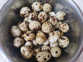 浸泡过的鹌鹑蛋用小牙刷刷洗干净。