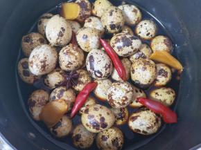 看一下煮好的五香鹌鹑蛋，浸泡2个小时左右再吃更入味。