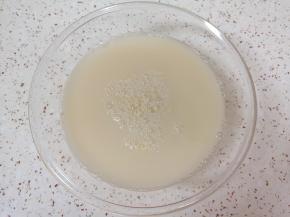 温水里面加入发酵粉和糖混合均匀。