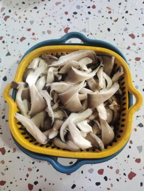 平菇撕成小块，清洗干净！