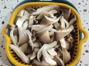平菇撕成小块，清洗干净！