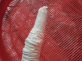 把猪肠衣挤干水分，套在灌肠器上!再在顶端打一个结!(或者用棉绳扎紧也可以!)