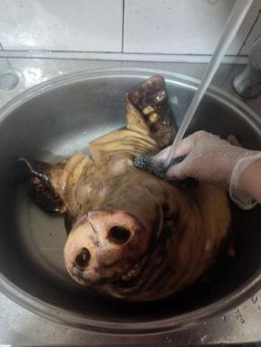 用清洁球把猪头使劲儿搓洗干净！