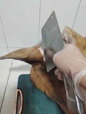 把两个猪耳朵也取下来！