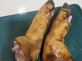 顺便把烙好的猪蹄也清洗干净了，一会儿和猪头一起卤！