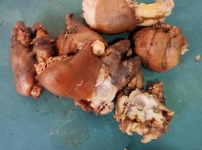 猪蹄切成小块儿！