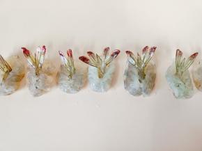 腌制好的对虾，把虾尾从虾背穿过来，凹一个造型。