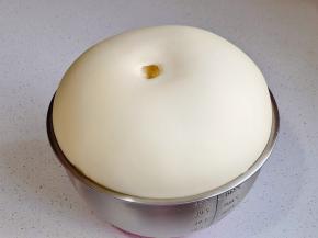 发酵至原来的2.5倍，摁一下不回缩不反弹。