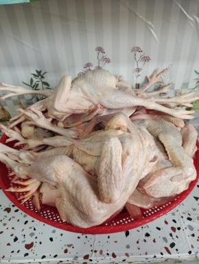 买回来的鸡用白酒搓洗干净！